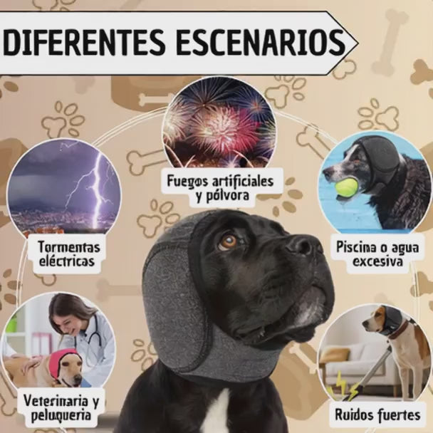 Protector Auditivo Para tu canino